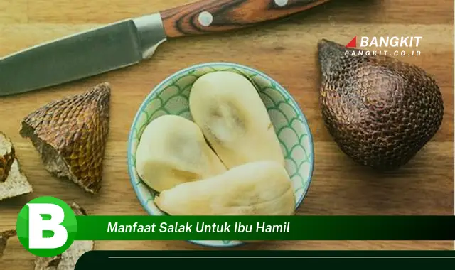 Temukan Manfaat Salak untuk Ibu Hamil yang Bikin Kamu Penasaran!