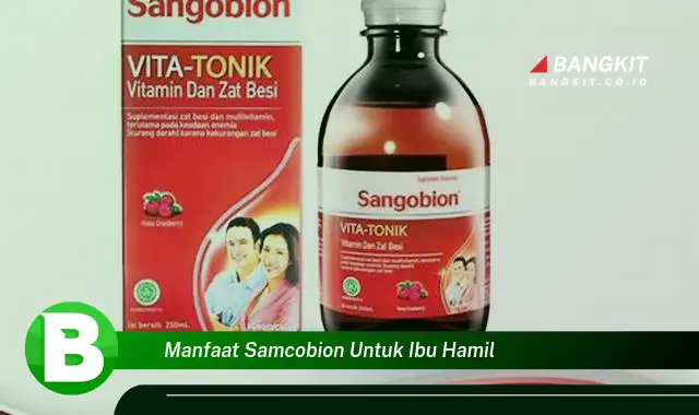 Intip Manfaat Samcobion yang Bikin Kamu Penasaran untuk Ibu Hamil