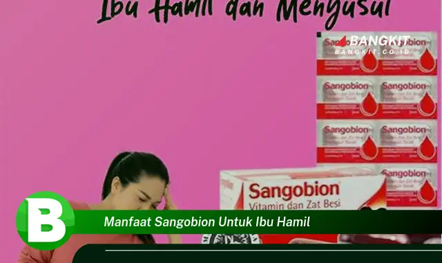 Ketahui Manfaat Sangobion untuk Ibu Hamil yang Wajib Kamu Tahu