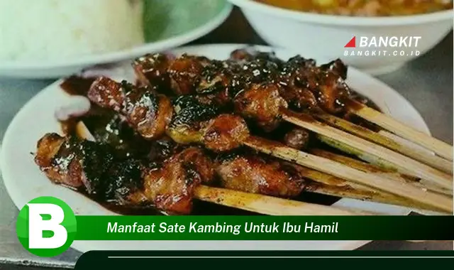 Temukan Manfaat Sate Kambing untuk Ibu Hamil yang Bikin Kamu Penasaran