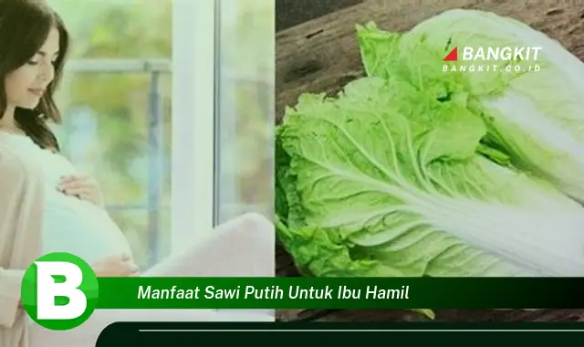 Temukan Manfaat Sawi Putih untuk Ibu Hamil yang Wajib Kamu Intip