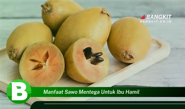 Temukan Manfaat Buah Sawo Mentega untuk Ibu Hamil yang Wajib Kamu Tahu