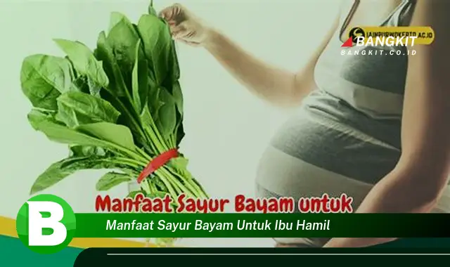 Intip Manfaat Sayur Bayam yang Wajib Kamu Tau untuk Ibu Hamil