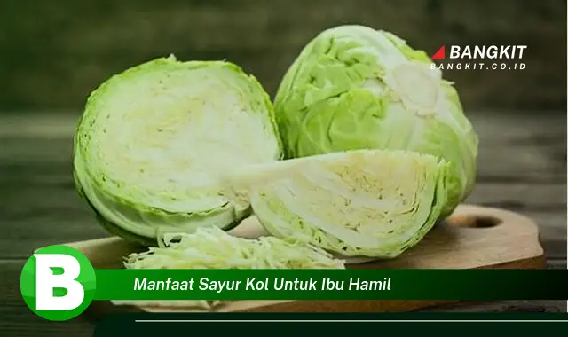 Intip Manfaat Sayur Kol untuk Ibu Hamil yang Wajib Kamu Tahu