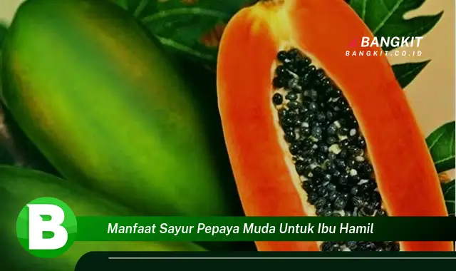 Intip Manfaat Sayur Pepaya Muda untuk Ibu Hamil, Wajib Kamu Tahu!