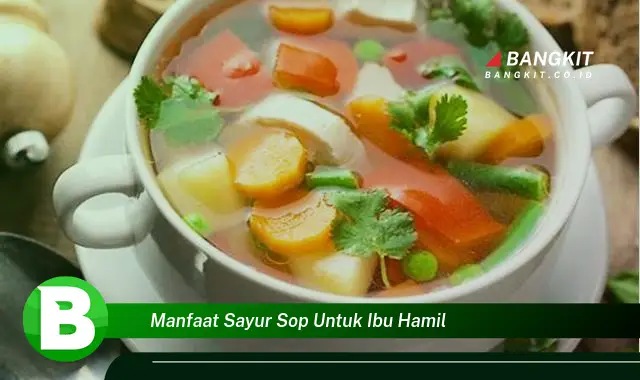 Ketahui Manfaat Sayur Sop untuk Ibu Hamil yang Bikin Kamu Penasaran