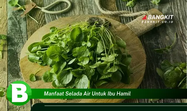 Intip Manfaat Selada Air untuk Ibu Hamil yang Wajib Kamu Tahu