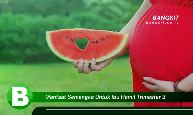 Intip Manfaat Semangka untuk Ibu Hamil Trimester 3 yang Bikin Kamu Penasaran