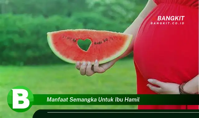 Ketahui Manfaat Semangka untuk Ibu Hamil yang Bikin Kamu Penasaran!