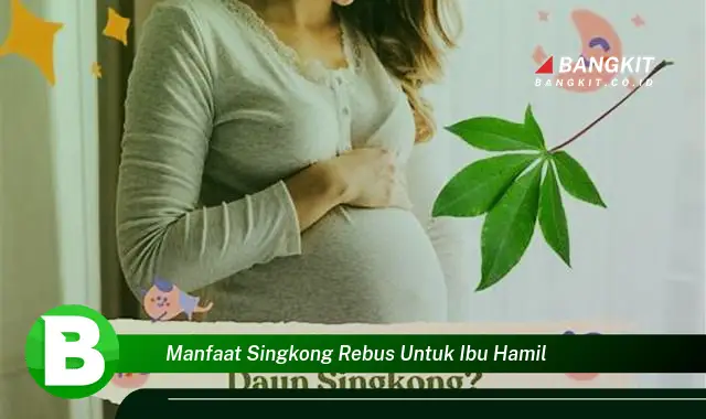 Temukan Manfaat Rebusan Singkong untuk Ibu Hamil yang Wajib Kamu Intip