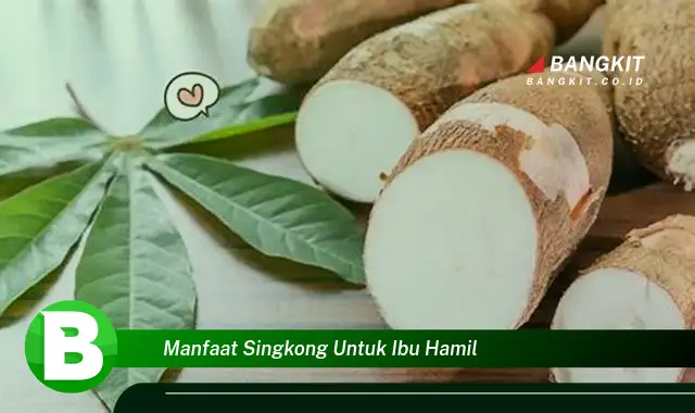 Temukan Manfaat Singkong yang Wajib Kamu Intip untuk Ibu Hamil