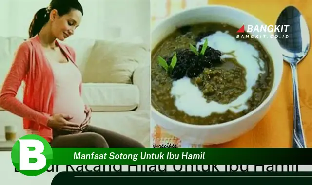 Intip Manfaat Sotong untuk Ibu Hamil yang Bikin Kamu Penasaran