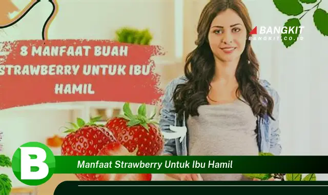 Temukan Manfaat Buah Strawberry untuk Ibu Hamil yang Jarang Diketahui