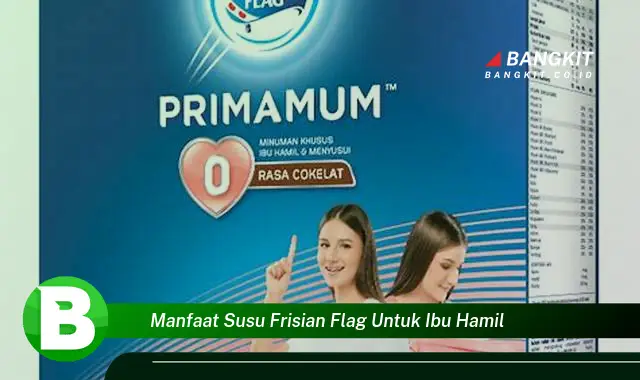 Ketahui Manfaat Susu Frisian Flag untuk Ibu Hamil yang Bikin Kamu Penasaran