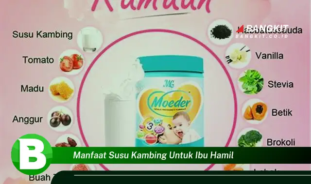 Intip Manfaat Susu Kambing untuk Ibu Hamil yang Bikin Kamu Penasaran