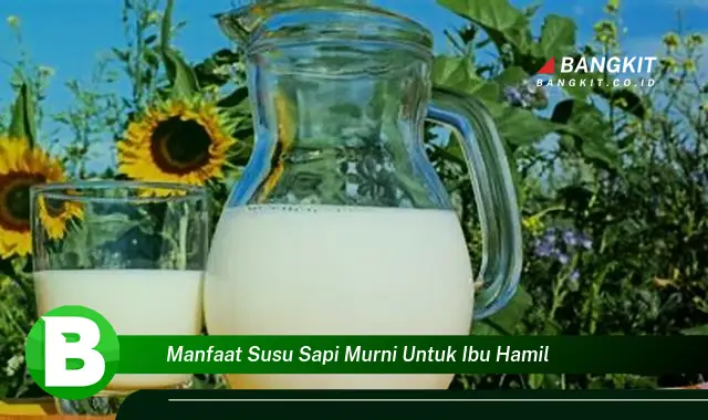 Temukan Manfaat Susu Sapi Murni untuk Ibu Hamil yang Wajib Kamu Intip