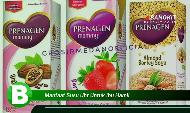 Intip Manfaat Susu UHT untuk Ibu Hamil yang Wajib Kamu Tahu