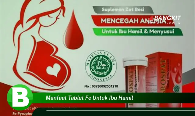 Ketahui Manfaat Tablet Fe untuk Ibu Hamil yang Bikin Kamu Penasaran