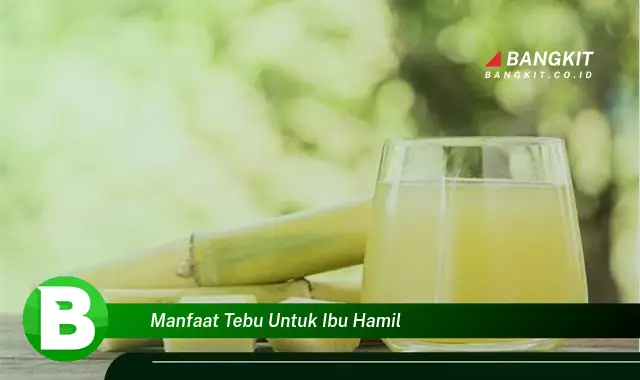 Temukan Manfaat Tebu untuk Ibu Hamil yang Bikin Kamu Penasaran