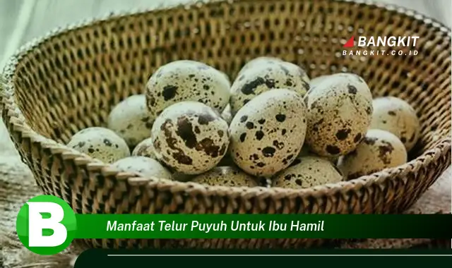 Ketahui Manfaat Telur Puyuh untuk Ibu Hamil yang Bikin Kamu Penasaran