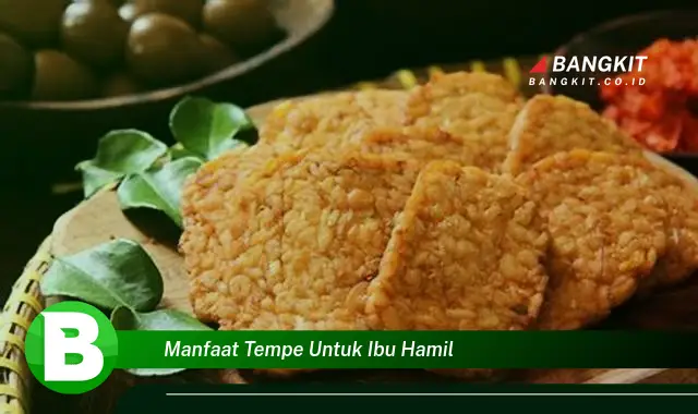 Temukan Manfaat Tempe untuk Ibu Hamil yang Wajib Kamu Tahu