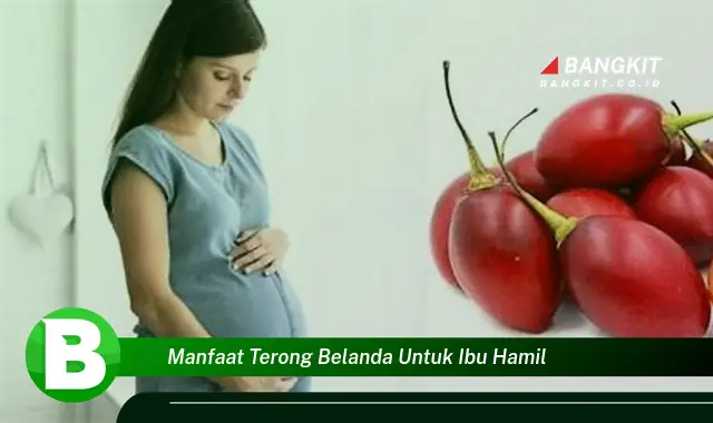 Ketahui Manfaat Terong Belanda untuk Ibu Hamil yang Bikin Kamu Penasaran