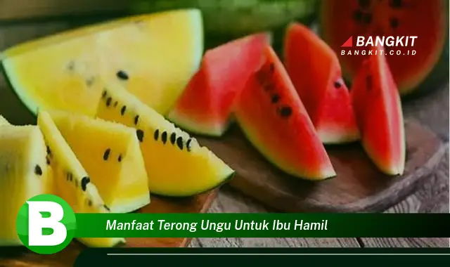 Intip Manfaat Terong Ungu untuk Ibu Hamil yang Bikin Kamu Penasaran