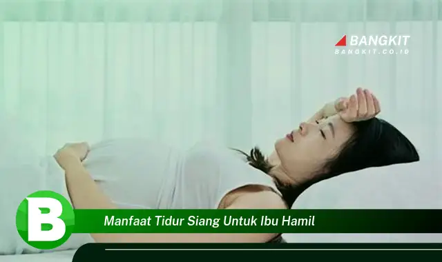 Temukan Manfaat Tidur Siang Untuk Ibu Hamil yang Bikin Kamu Penasaran!