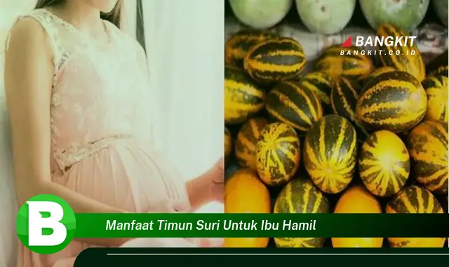 Ketahui Manfaat Timun Suri untuk Ibu Hamil yang Bikin Kamu Penasaran