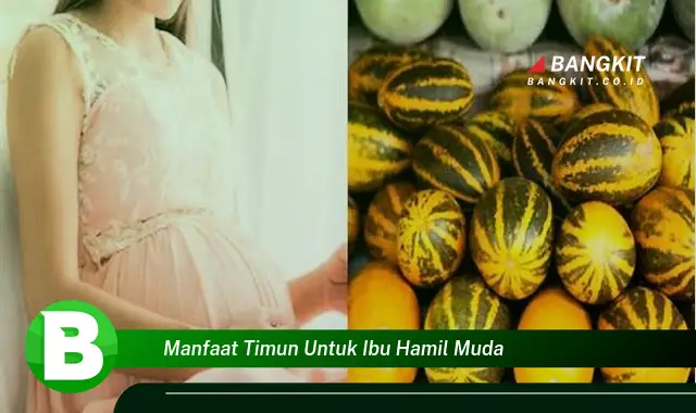 Ketahui Manfaat Timun yang Bikin Kamu Penasaran untuk Ibu Hamil Muda