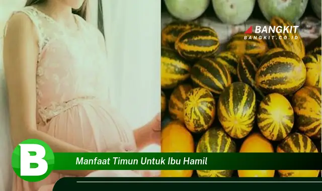 Temukan Manfaat Timun untuk Ibu Hamil yang Bikin Kamu Penasaran