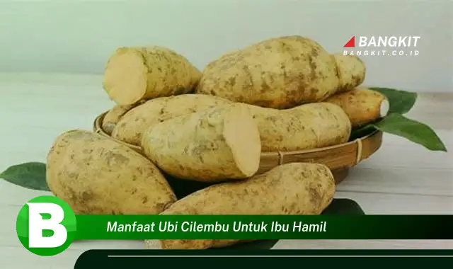 Temukan Manfaat Ubi Cilembu untuk Ibu Hamil yang Wajib Kamu Intip