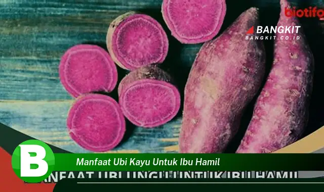 Temukan Manfaat Ubi Kayu untuk Ibu Hamil yang Wajib Kamu Intip