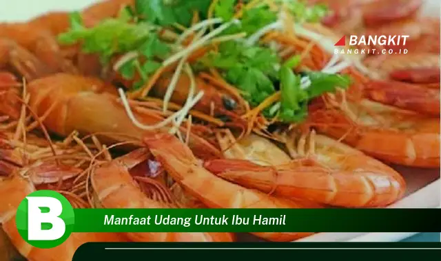 Intip Manfaat Udang untuk Ibu Hamil yang Wajib Kamu Tahu