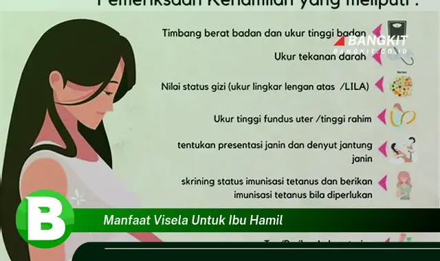 Ketahui Manfaat Visela untuk Ibu Hamil yang Bikin Kamu Penasaran