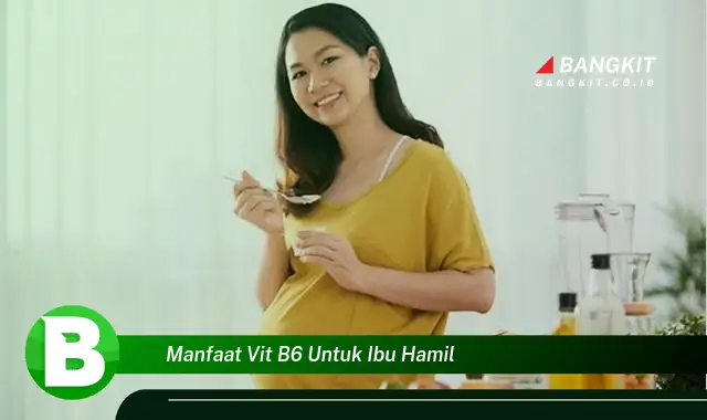 Ketahui Manfaat Vitamin B6 untuk Ibu Hamil yang Wajib Kamu Tau