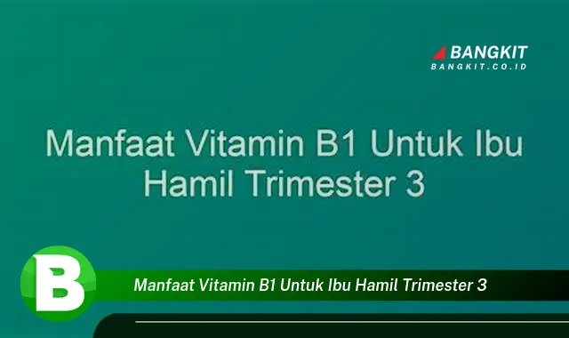 Temukan Manfaat Vitamin B1 untuk Ibu Hamil Trimester 3 yang Bikin Kamu Penasaran