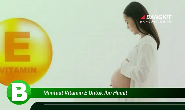 Temukan Manfaat Vitamin E Untuk Ibu Hamil yang Bikin Kamu Penasaran