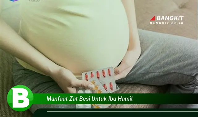 Intip Manfaat Zat Besi untuk Ibu Hamil yang Wajib Kamu Tau