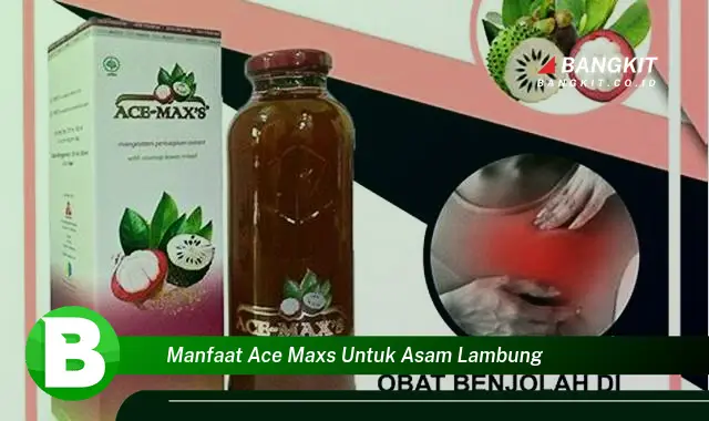 Intip Manfaat Ace Maxs untuk Asam Lambung yang Bikin Kamu Penasaran