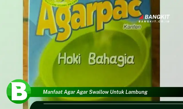 Temukan Manfaat Agar-agar Swallow untuk Lambung yang Wajib Kamu Intip