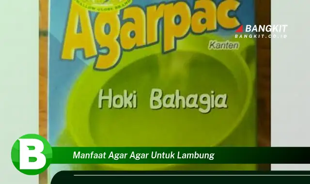 Intip Manfaat Agar-agar untuk Lambung yang Bikin Kamu Penasaran