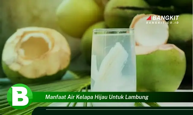 Temukan Manfaat Air Kelapa Hijau untuk Lambung yang Wajib Kamu Tahu