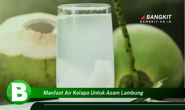 Temukan Manfaat Air Kelapa untuk Asam Lambung yang Wajib Kamu Intip