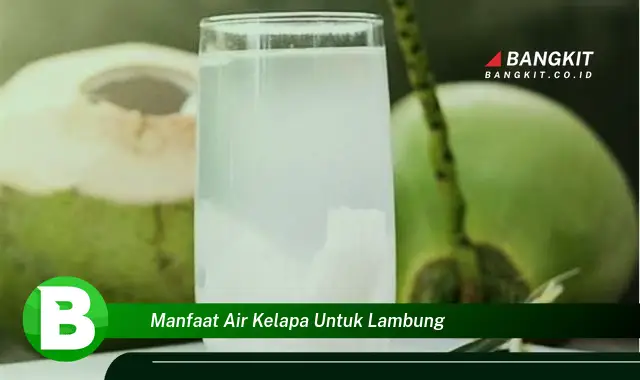 Temukan Manfaat Air Kelapa untuk Lambung yang Bikin Kamu Penasaran