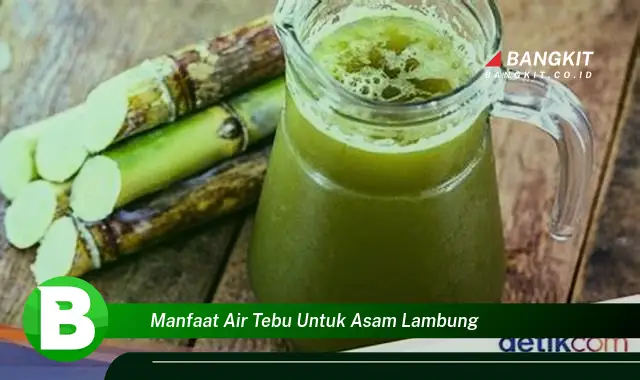 Ketahui Manfaat Air Tebu untuk Asam Lambung yang Wajib kamu Tau