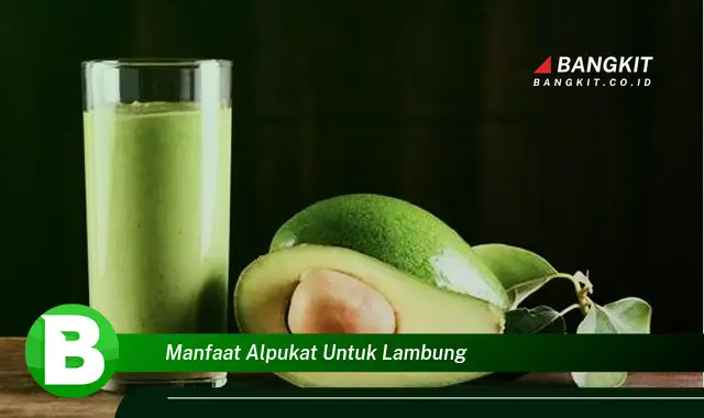 Temukan Manfaat Alpukat untuk Lambung yang Bikin Kamu Penasaran