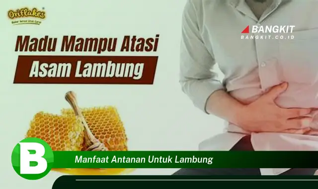 Ketahui Manfaat Antanan untuk Lambung yang Bikin Kamu Penasaran