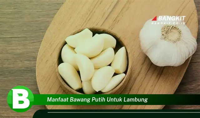 Ketahui Manfaat Bawang Putih Untuk Lambung yang Bikin Kamu Penasaran