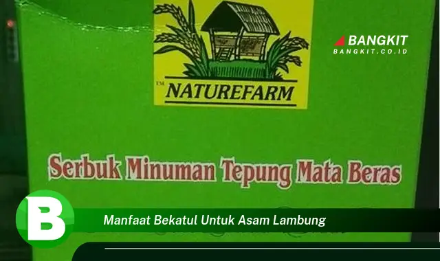 Intip Manfaat Bekatul untuk Asam Lambung yang Bikin Kamu Penasaran